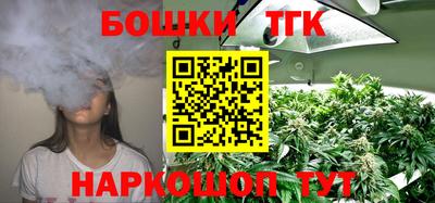 2c-b Новозыбков