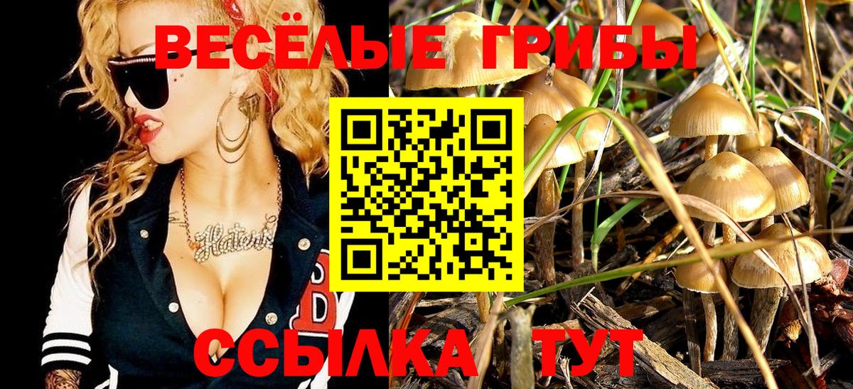 Раменское  Псилоцибиновые грибы прущие грибы  Вход с VPN 